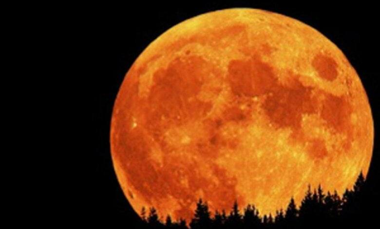 Николаевцы могут увидеть Суперлуну | Корабелов.ИНФО