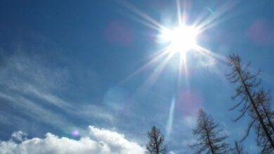 Неделя в Украине начнется с резкого декабрьского потепления | Корабелов.ИНФО