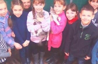 Гуманному ставленню до тварин вчили дітей, які принесли до школи в Корабельному районі своїх домашніх улюбленців | Корабелов.ИНФО image 1