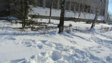 Школьники будут отдыхать на зимних каникулах 15 дней, а если будет сильно холодно - то и больше | Корабелов.ИНФО