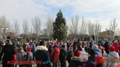 Новогодние и Рождественские праздники в Николаеве: программа мероприятий | Корабелов.ИНФО