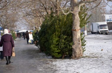 Исполком горсовета определил 15 мест официальной продажи новогодних елок и украшений в Корабельном районе | Корабелов.ИНФО image 1