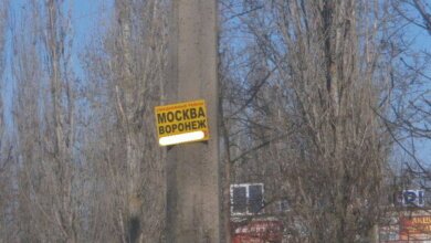 "Неужели нет способа заставить это снять?" Жителей Корабельного района приглашают поехать в Москву и Воронеж | Корабелов.ИНФО image 2