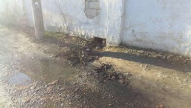 "Областной сборный пункт в Корабельном районе сбрасывает канализацию прямо на дорогу", - житель Николаева | Корабелов.ИНФО image 1