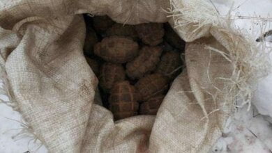 У лісосмузі на Миколаївщині знайшли мішок з гранатами | Корабелов.ИНФО image 1