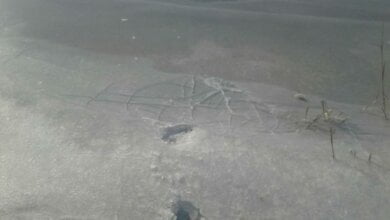 Разом із сином по кризі додому: похід через річку Південний Буг забрав життя 36-річного мешканця Миколаївщини | Корабелов.ИНФО image 2