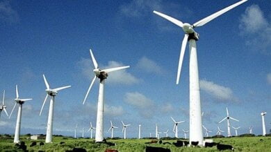 Самая мощная ветряная электростанция Восточной Европы появится в Николаевской области | Корабелов.ИНФО