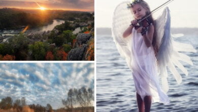 «Буг б’є на сполох»: среди победителей конкурса за сохранение одного из чудес природы - фотограф из Корабельного района | Корабелов.ИНФО