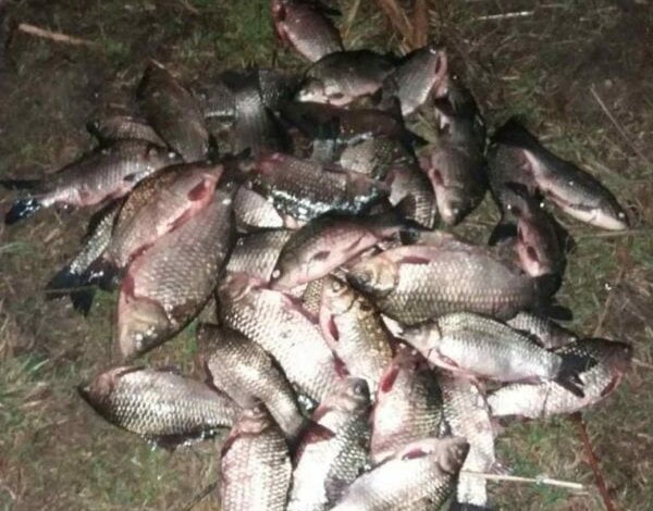 Очередной рыбак с сетями задержан патрулем ночью в Витовском районе | Корабелов.ИНФО image 1