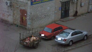 "После завтрака в мусорном контейнере сорока разгуливала по мясу для покупателей", - житель Корабельного района | Корабелов.ИНФО image 2