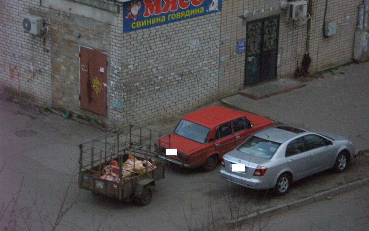 "После завтрака в мусорном контейнере сорока разгуливала по мясу для покупателей", - житель Корабельного района | Корабелов.ИНФО image 2