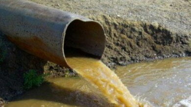 "Это просто экологический беспредел!" - житель Корабельного района о сливаемой возле гаражей канализации | Корабелов.ИНФО