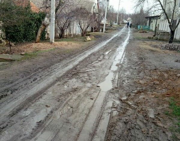 "Денег нет": власти Корабельного района не могут помочь жителям, "тонущим в болоте" | Корабелов.ИНФО image 1