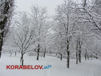 Снежная пора в Корабельном районе: кому как, а детям нравится (ФОТО) | Корабелов.ИНФО image 10