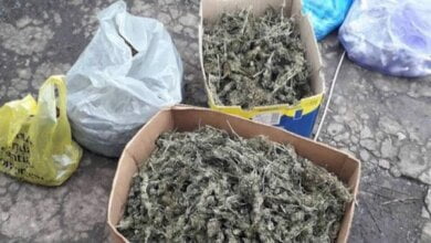 Близько 25 кілограмів фасованої наркотичної речовини вилучили поліцейські у мешканця Вітовського району (ВІДЕО) | Корабелов.ИНФО image 7