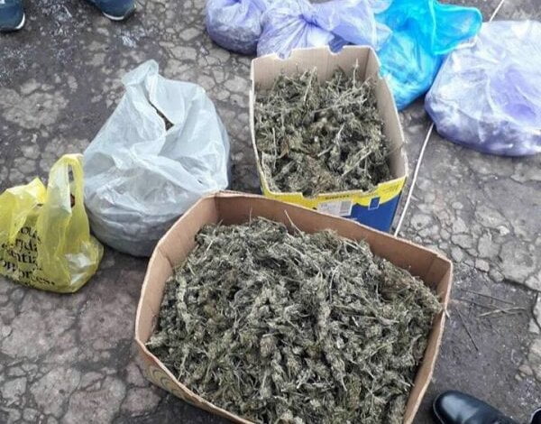 Близько 25 кілограмів фасованої наркотичної речовини вилучили поліцейські у мешканця Вітовського району (ВІДЕО) | Корабелов.ИНФО image 7