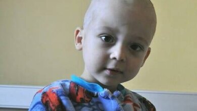 Все собранные на празднике деньги Молодёжная Организация "Ольвия" передала на лечение малыша из Корабельного района | Корабелов.ИНФО image 2