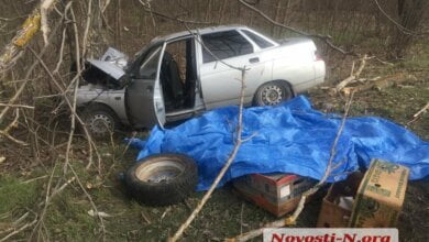 Водитель только успел сказать: «Сердце!» На Николаевщине «десятка» врезалась в дерево - один погибший, двое - в больнице | Корабелов.ИНФО