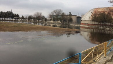 "Такой дыры и убожества нет нигде", - родители воспитанников ДЮСШ № 5 в Корабельном районе (ФОТО) | Корабелов.ИНФО image 28