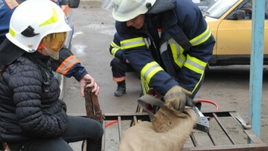 Ногу дівчинки затиснуло у металевій решітці лавки - миколаївські рятувальники визволяли її за допомогою різака | Корабелов.ИНФО image 1
