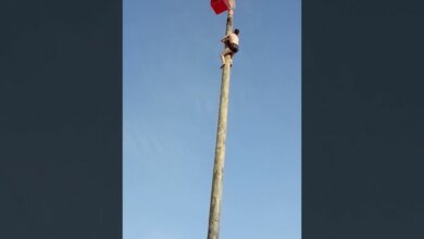 Суровая русская забава: в России мужчина сорвался со столба на Масленице (видео) | Корабелов.ИНФО