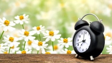 Сегодня ночью Украина переходит на летнее время | Корабелов.ИНФО