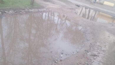 "Болотяка по колено... Позорище!" - жительница Корабельного жалуется на "забытый Богом двор" в центре района | Корабелов.ИНФО image 1