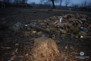 Задушив і розчленив колегу працівник ферми у Вітовському районі (ВІДЕО) | Корабелов.ИНФО image 4