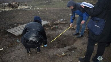 Задушив і розчленив колегу працівник ферми у Вітовському районі (ВІДЕО) | Корабелов.ИНФО image 3