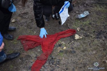 Задушив і розчленив колегу працівник ферми у Вітовському районі (ВІДЕО) | Корабелов.ИНФО image 2