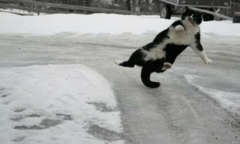 Мороз до -13º и ясно: погода в Николаеве на воскресенье | Корабелов.ИНФО