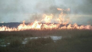 Двічі за добу пожежні гасили займання очерету та сухої трави у Вітовському районі | Корабелов.ИНФО image 1