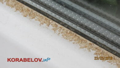 В Николаеве выпал оранжевый снег (ФОТО) | Корабелов.ИНФО image 4