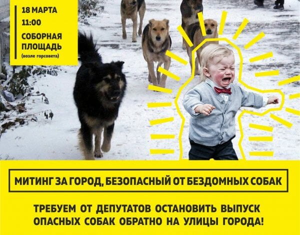 Митинг за усыпление бездомных собак состоится на главной площади Николаева | Корабелов.ИНФО