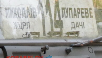 После шантажа Инги Шаповаловой ОГА расторгла договор с фирмой «Алан-Техно» из-за ее многочисленных нарушений | Корабелов.ИНФО image 2