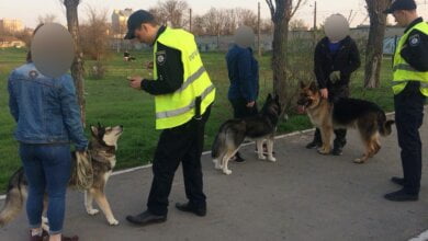 В Николаеве за выгул собак без намордников патрульные начали составлять протоколы | Корабелов.ИНФО