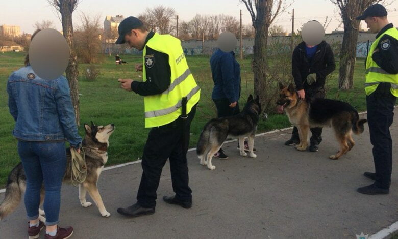 В Николаеве за выгул собак без намордников патрульные начали составлять протоколы | Корабелов.ИНФО