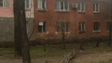 "Они нависают над домами, очень скрипят", - жительница Корабельного района просит обрезать верхушки тополей | Корабелов.ИНФО image 1