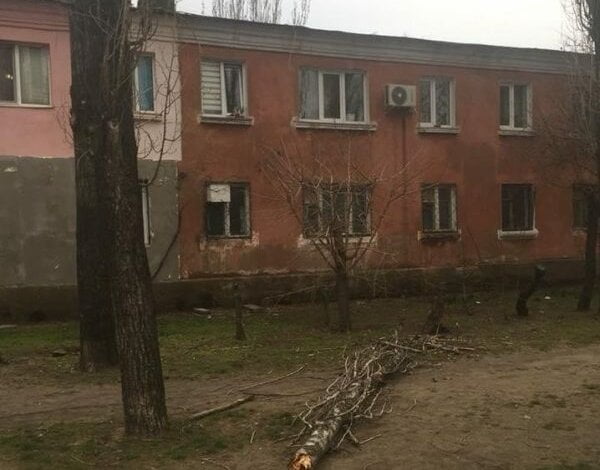 "Они нависают над домами, очень скрипят", - жительница Корабельного района просит обрезать верхушки тополей | Корабелов.ИНФО image 1