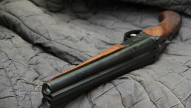 В Корабельном районе мужчина нашел на свалке два обреза ружья и почти 300 патронов | Корабелов.ИНФО