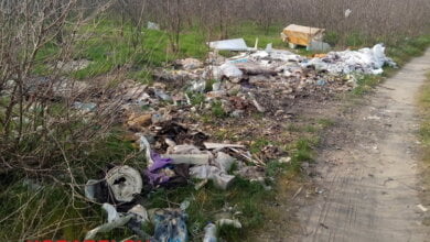 Балабановский лес завален кучами мусора | Корабелов.ИНФО image 2