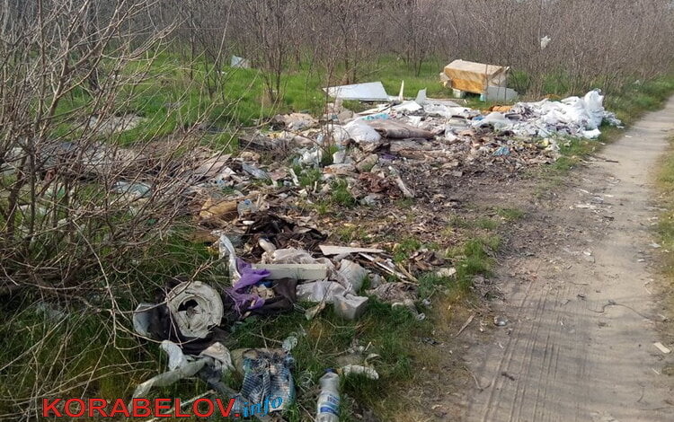 Балабановский лес завален кучами мусора | Корабелов.ИНФО image 2