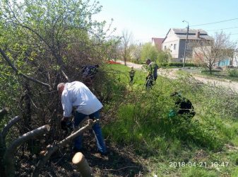 "Очистили місцевість від дерев та кущів", - мешканці Корабельного готують територію під обіцяний владою дитячий майданчик | Корабелов.ИНФО image 10