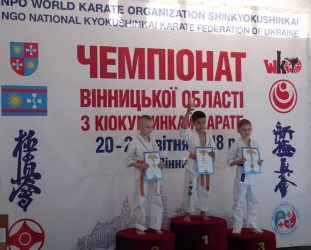 Награды из Винницы привезли каратисты Николаевского СК "Илья Муромец" | Корабелов.ИНФО image 4