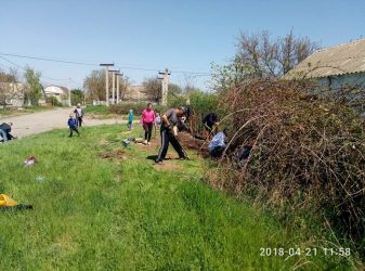 "Очистили місцевість від дерев та кущів", - мешканці Корабельного готують територію під обіцяний владою дитячий майданчик | Корабелов.ИНФО image 1