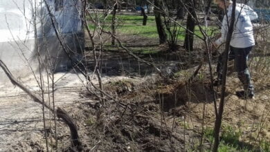 "Ничего не стоит тех жизней, которые могут оборваться из-за халатности", - Артем Ильюк просит срочной проверки Николаевоблэнерго | Корабелов.ИНФО image 3