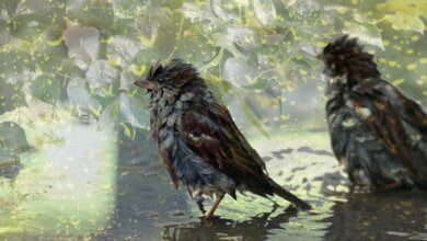 Дождь с грозой и до +22º: погода в Николаеве на завтра | Корабелов.ИНФО