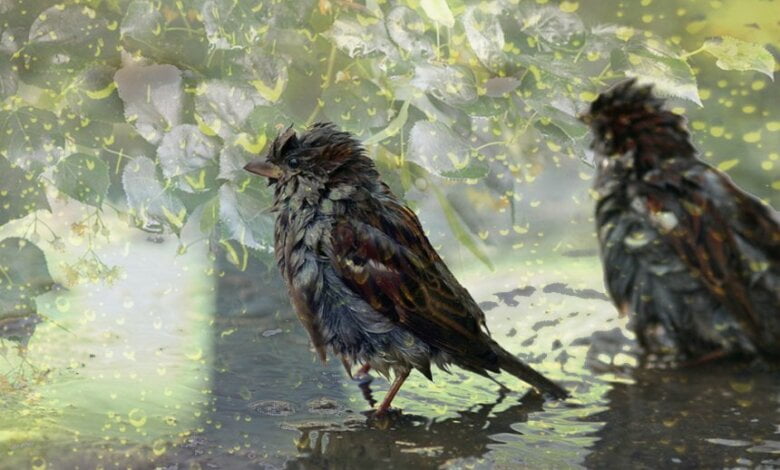 Дождь с грозой и до +22º: погода в Николаеве на завтра | Корабелов.ИНФО