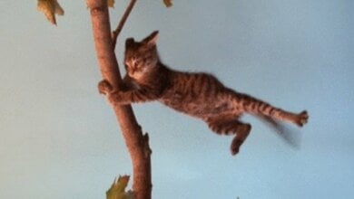 В Николаеве объявлено штормовое предупреждение | Корабелов.ИНФО