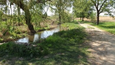 Проекты так и остались пылиться в столах... Парк "Богоявленский" удручает своей заброшенностью | Корабелов.ИНФО